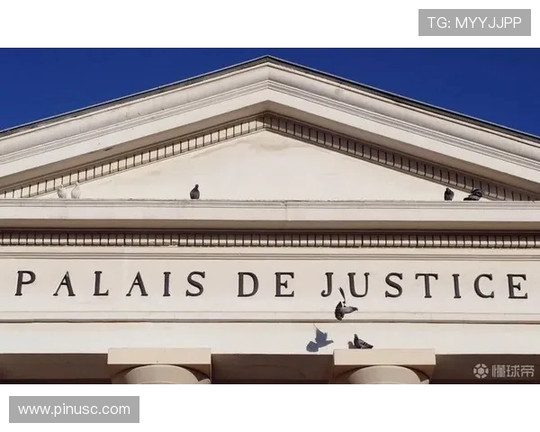 法国男子世界杯庆祝期间无证驾驶酿惨祸致13岁少年身亡获刑八年